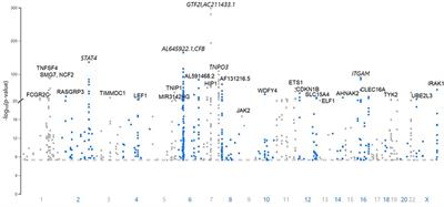 The 330 risk loci known for systemic lupus erythematosus (SLE): a review